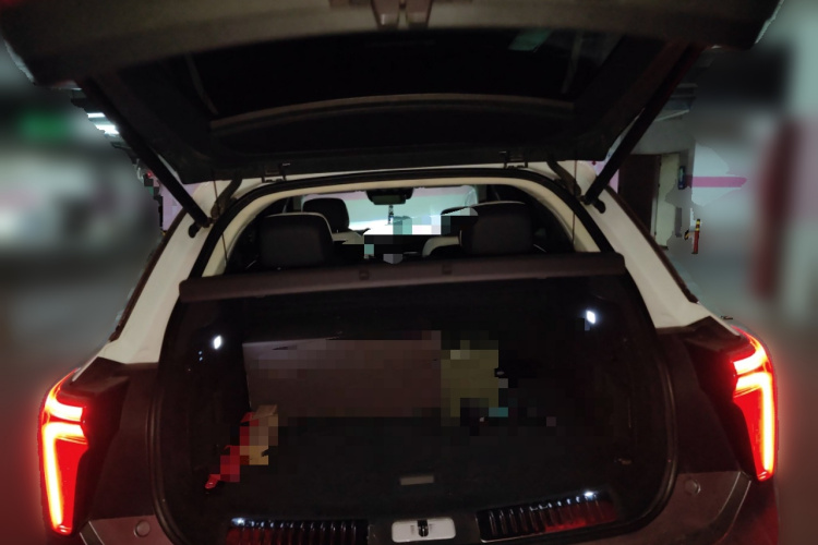 红旗E-HS9 2021款 510km 旗领版 四座局部细节23