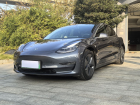 特斯拉 Model 3(进口) 2019款 长续航全轮驱动版