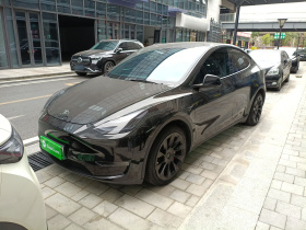 特斯拉 Model Y 2021款 标准续航后驱版