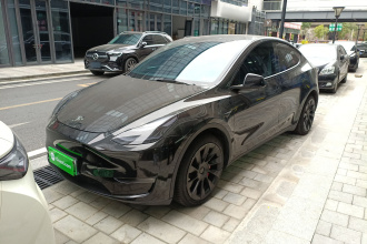 特斯拉 Model Y 2021款 标准续航后驱版