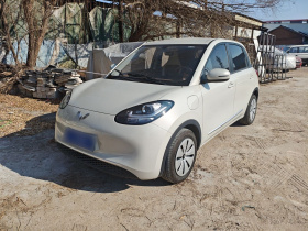 五菱汽车 五菱缤果 2025款 203km 轻享款