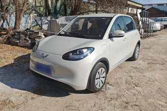 五菱汽车 五菱缤果 2025款 203km 轻享款