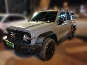 坦克300 2024款 2.0T 挑战者