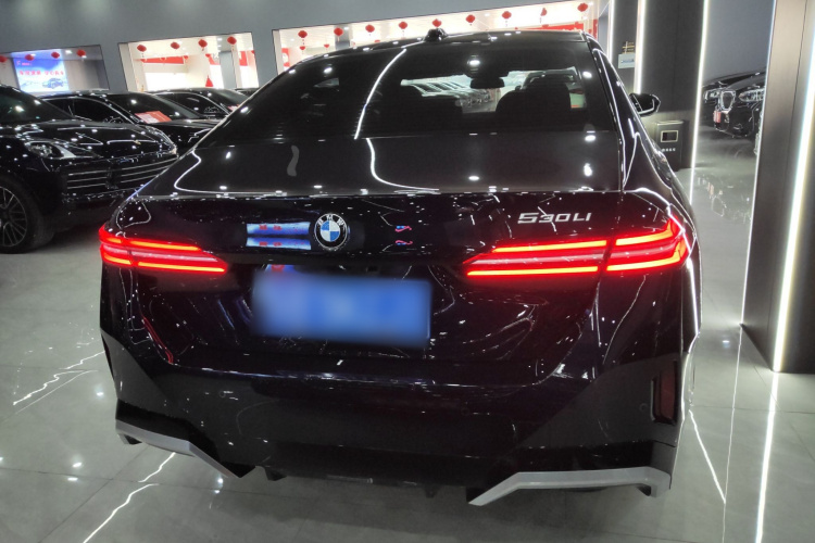 宝马5系 2025款 530Li 尊享型 M运动套装车身外观6
