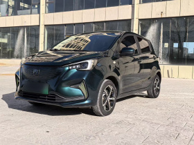 长安欧尚 奔奔E-Star 2022款 赏心版 多彩款 磷酸铁锂