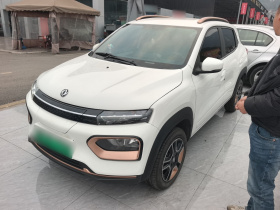 东风纳米EX1 2023款 PRO 轻风版标准型