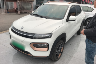 东风纳米EX1 2023款 PRO 轻风版标准型