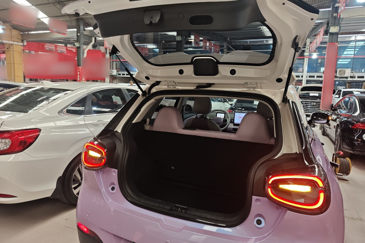 东风纳米 纳米01 2024款 330 Plus智+局部细节23