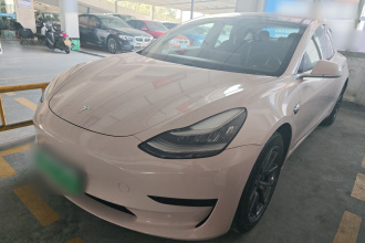 特斯拉 Model 3 2020款 标准续航后驱升级版