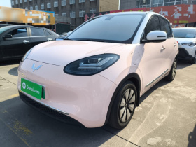 五菱汽车 五菱缤果 2023款 410km 灵犀尊享款