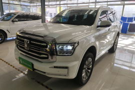 坦克500新能源 2024款 Hi4-T