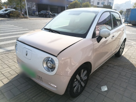 欧拉黑猫 2022款 351km 标准型 三元锂