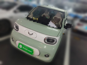 五菱汽车 宏光MINIEV 2024款 第三代 215km 青春版