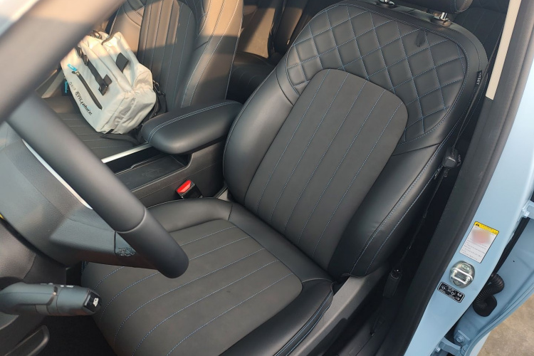 欧拉好猫 2021款 400km标准续航 雅典娜版 磷酸铁锂中控内饰19