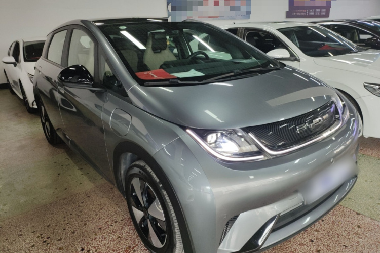 比亚迪 海豚 2023款 420km 时尚版车身外观3