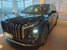 红旗HS7 2024款 2.0T 自动四驱旗享版 六座