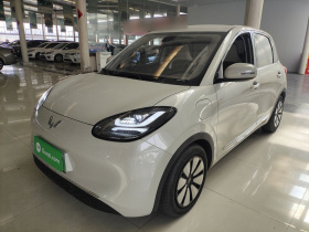 五菱汽车 五菱缤果 2023款 333km 灵犀互联款