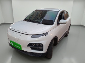 大运 悦虎 2021款 32.85kWh 两驱精灵版