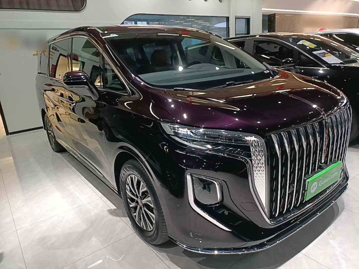 红旗HQ9 PHEV 2024款 2.0T 四驱商务版(5)