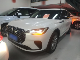 林肯 冒险家 2023款 2.0T 两驱尊悦版