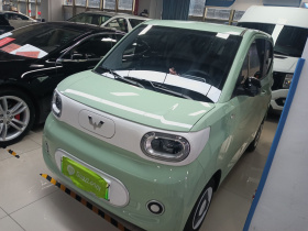 五菱汽车 宏光MINIEV 2024款 第三代 215km 青春版