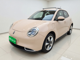 欧拉好猫 2021款 400km标准续航 维纳斯版 磷酸铁锂