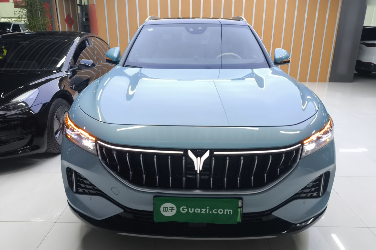 岚图汽车 岚图FREE 2021款 四驱标准增程专属豪华套装车身外观2