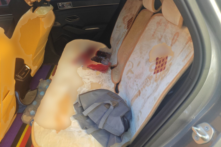 比亚迪 秦L 2024款 DM-i 120KM领先型中控内饰21