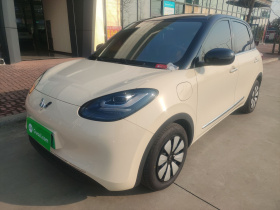 五菱汽车 五菱缤果 2025款 333km 悦享款