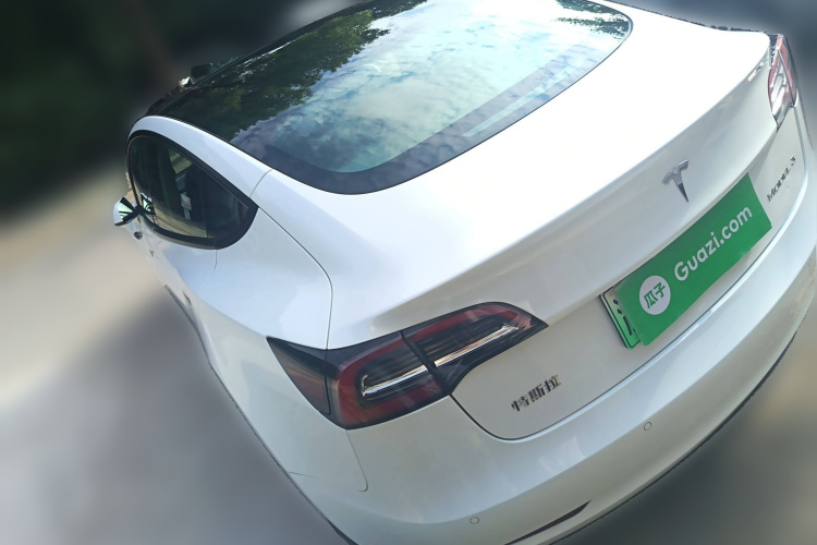 特斯拉 Model 3 2021款 标准续航后驱升级版车身外观6003
