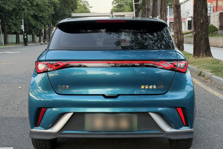 比亚迪 海豚 2021款 401km 骑士版车身外观6003