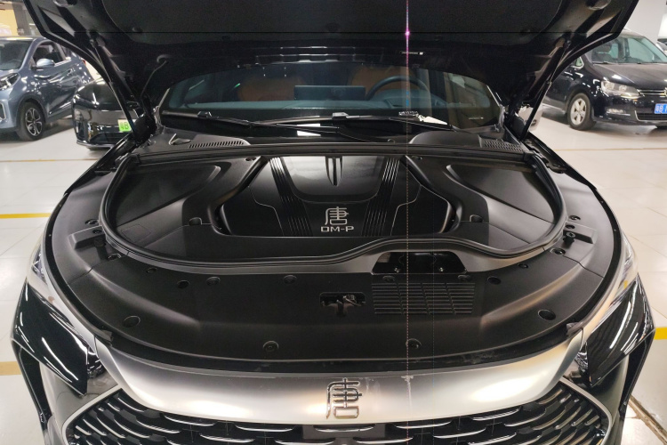 比亚迪 唐新能源 2022款 DM-p 215KM 四驱旗舰型机舱底盘24