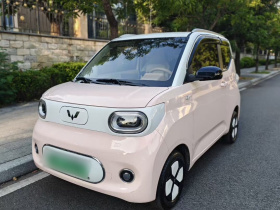 五菱汽车 宏光MINIEV 2024款 第三代 215km 进阶版