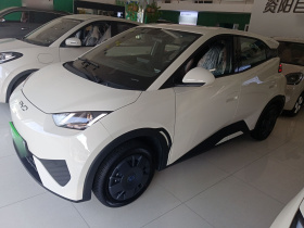 比亚迪 海鸥 2025款 305km 活力版