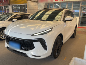 东风风行 风行T5 EVO 2021款 1.5TD DCT钻石版