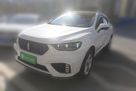 魏牌 VV5 2020款 1.5T 两驱颜先锋