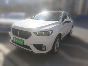 魏牌 VV5 2020款 1.5T 两驱颜先锋