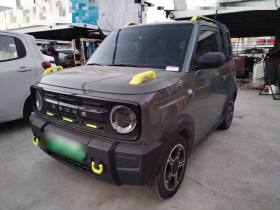 吉利银河 2024款 200km 熊猫骑士