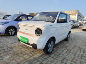 吉利银河 2024款 熊猫mini 200km 耐力熊