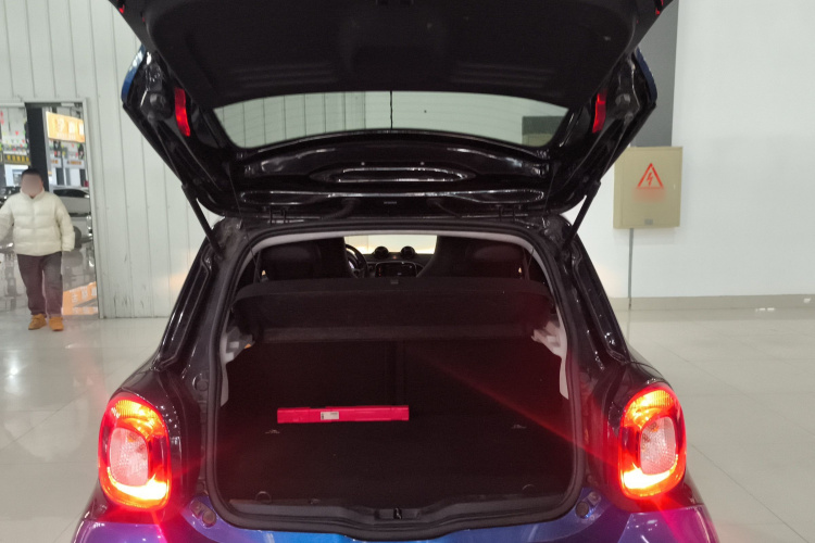 smart forfour 2016款 0.9T 66千瓦先锋版局部细节23
