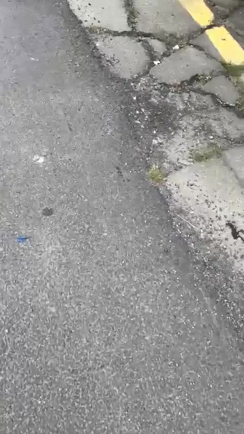 理念 广汽本田VE-1 2021款 出行版讲解1