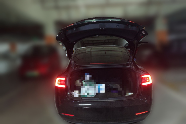 特斯拉 Model 3 2022款 后轮驱动版中控内饰23