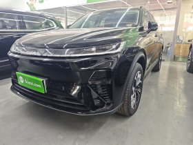 哈弗枭龙MAX 2025款 Hi4 110 Pro