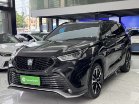 丰田 皇冠陆放 2021款 2.5L HEV四驱豪华版