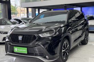 丰田 皇冠陆放 2021款 2.5L HEV四驱豪华版