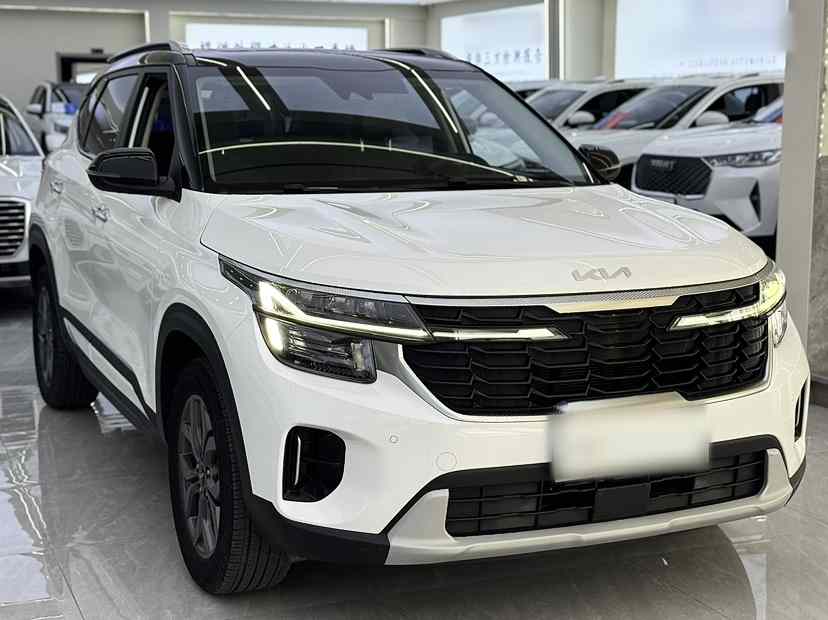 起亚 赛图斯 2023款 1.5L CVT豪华版(2)