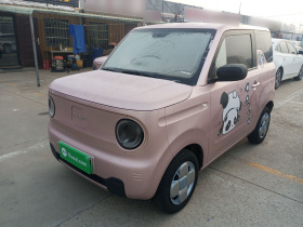 吉利银河 2024款 熊猫mini 200km 耐力熊