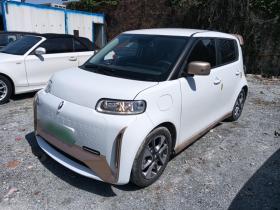 欧拉白猫 2022款 小野猫版 360km 豪华型 三元锂