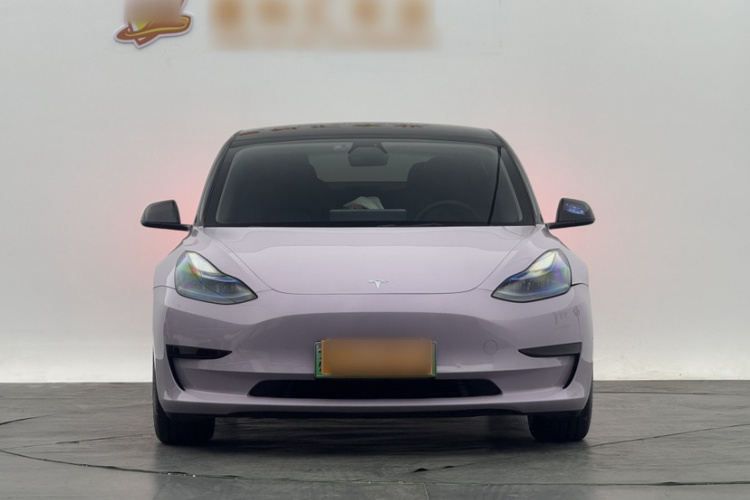 特斯拉 Model 3 2021款 改款 标准续航后驱升级版 3D1车身外观6004