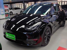 特斯拉 Model Y 2021款 标准续航后驱版